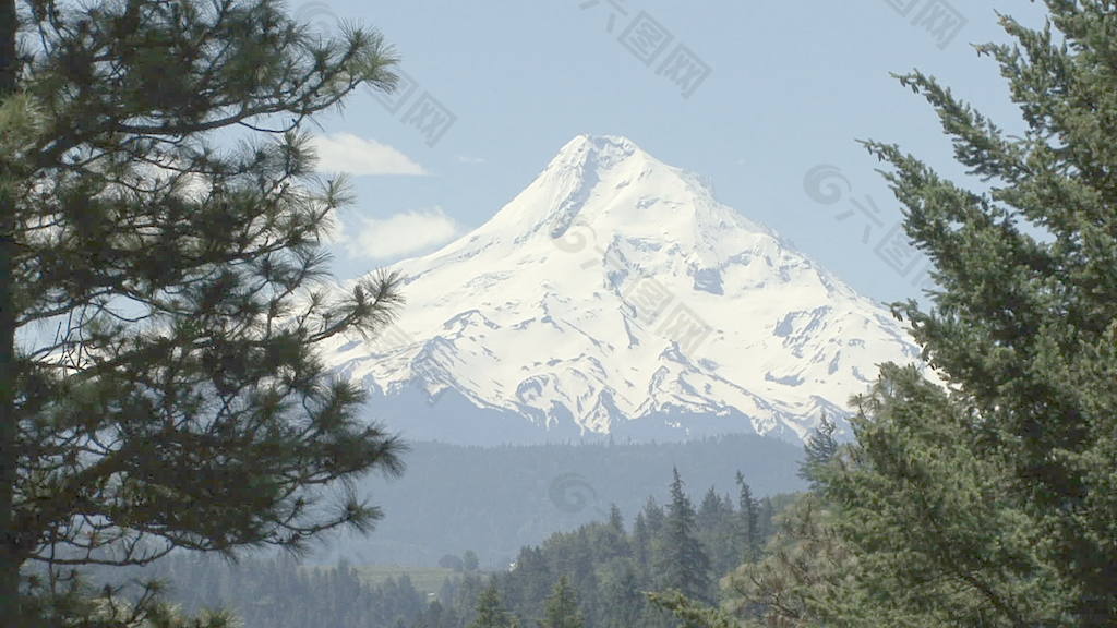 胡德山树股票视频