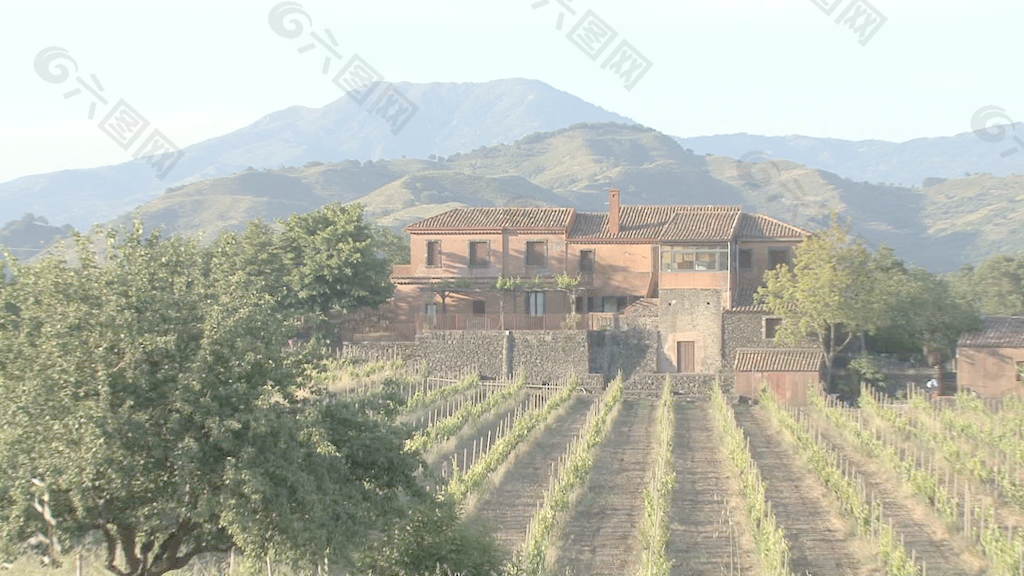 西西里岛的葡萄园和酿酒厂的3股的录像