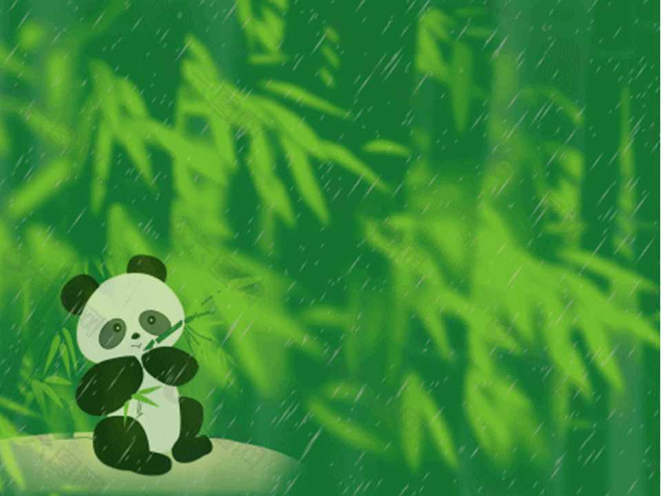 可愛的熊貓在雨中吃竹葉動態ppt模