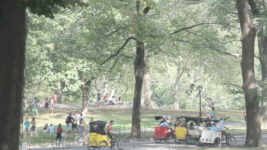 在中央公园2股票视频挂了 视频免费下载