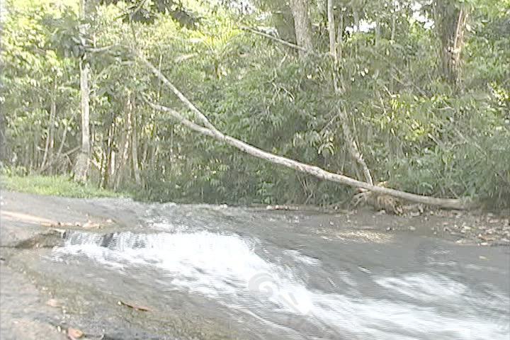 在热带雨林中，委内瑞拉股票视频小流 视频免费下载