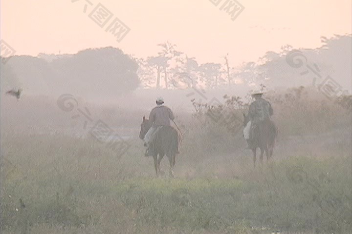 牛仔骑在黎明委内瑞拉股票视频 视频免费下载