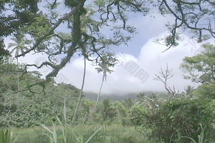 拉罗汤加岛云在山顶上股票的录像 视频免费下载