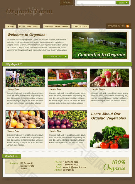 蔬菜网站界面设计HTML(CSS)模板