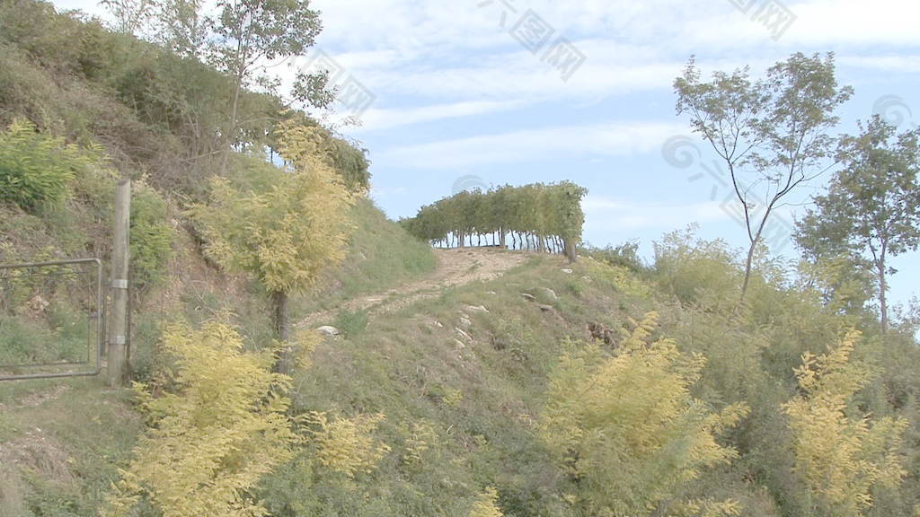 意大利威尼托的土路上山2股票的录像 视频免费下载