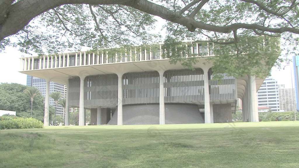 火奴鲁鲁夏威夷州议会大厦的树枝在股票的录像 视频免费下载
