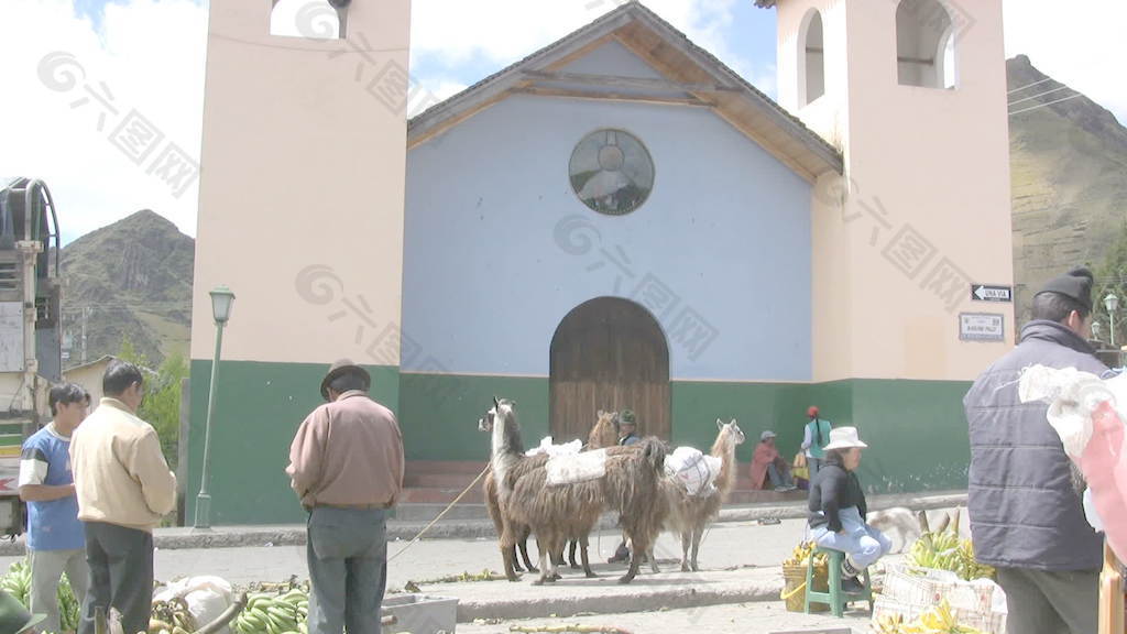 厄瓜多尔市场股票和骆驼的录像 视频免费下载