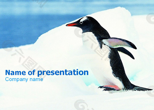 可爱的企鹅背景PPT模板