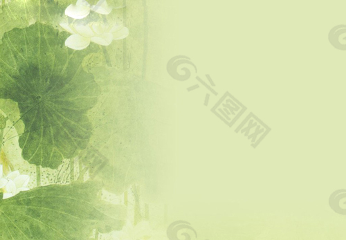 漂亮的荷叶背景PPT