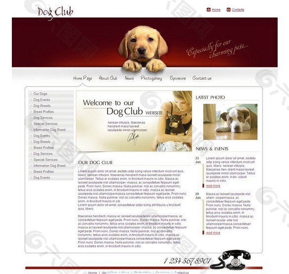 快乐宠物网页模板