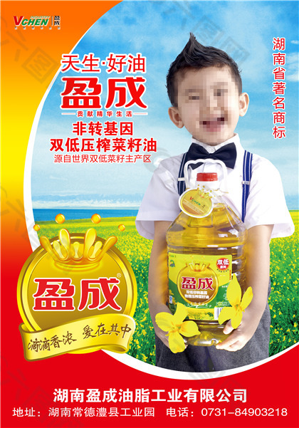 高清菜籽油广告设计素材