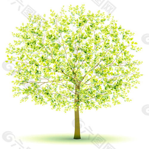 创意绿色树设计矢量图03