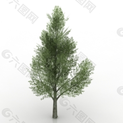 绿色的树木三维模型
