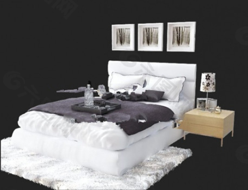白色的卧室3D模型