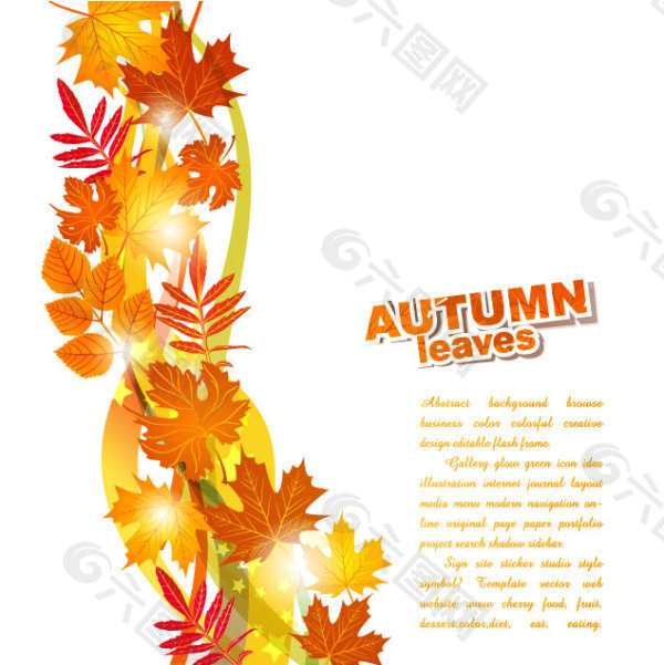美丽的秋天树叶背景02矢量素材