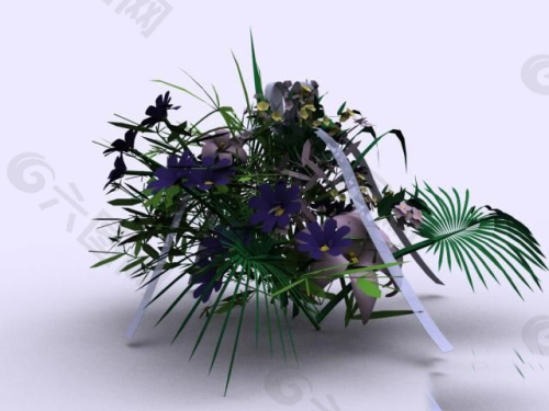 室内的植物模型