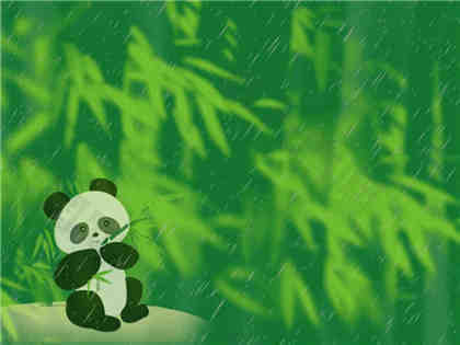 小熊猫PPT背景模板