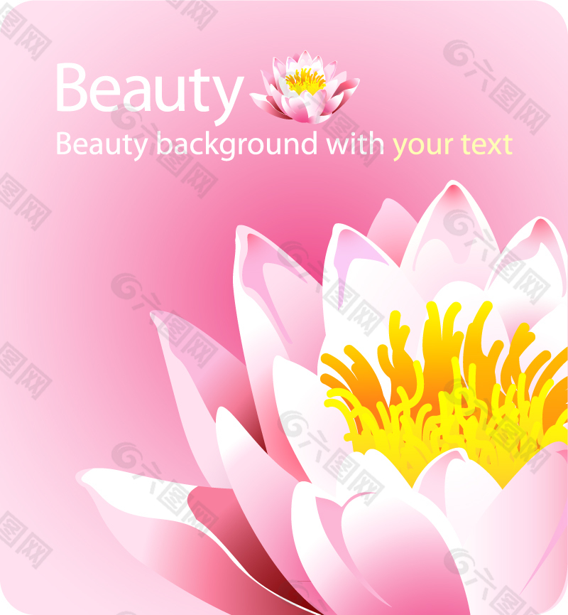 彩绘莲花设计矢量素材