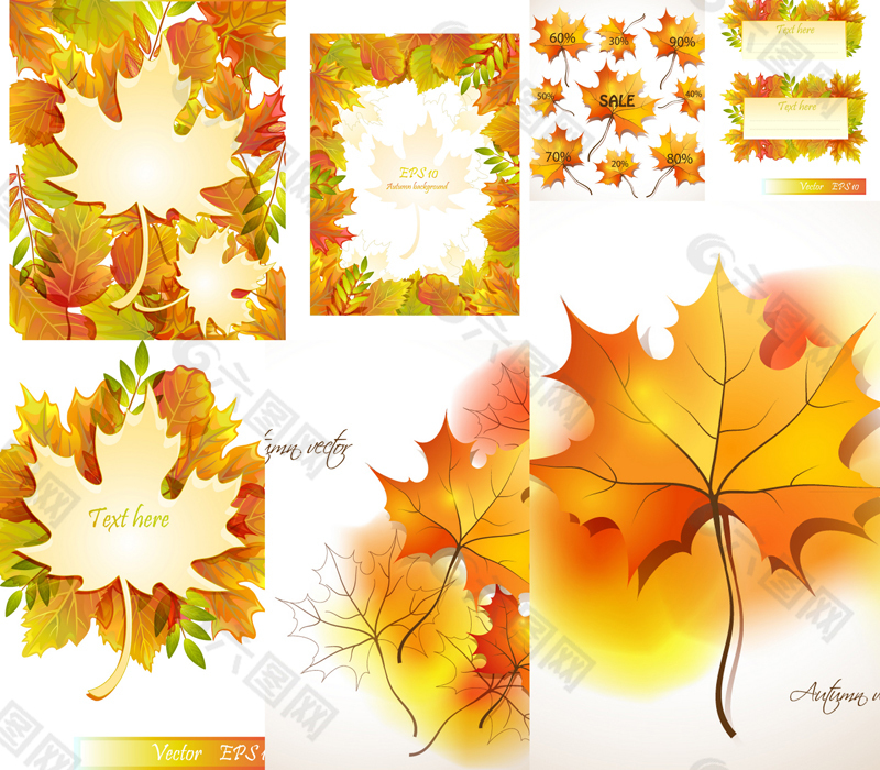 精美秋季枫叶设计矢量素材