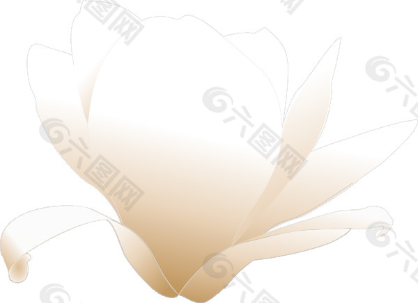 magnolia_white剪贴画