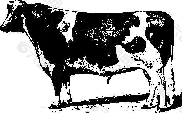 牛的剪辑艺术