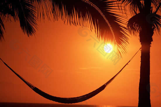 夕阳椰树海景PPT