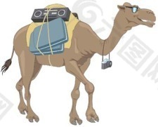 骆驼8向量
