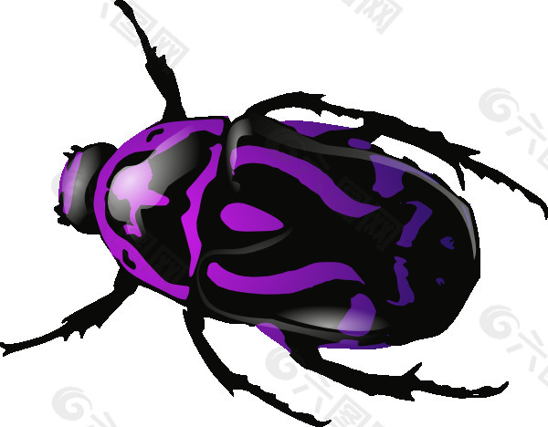 紫色甲虫剪贴画