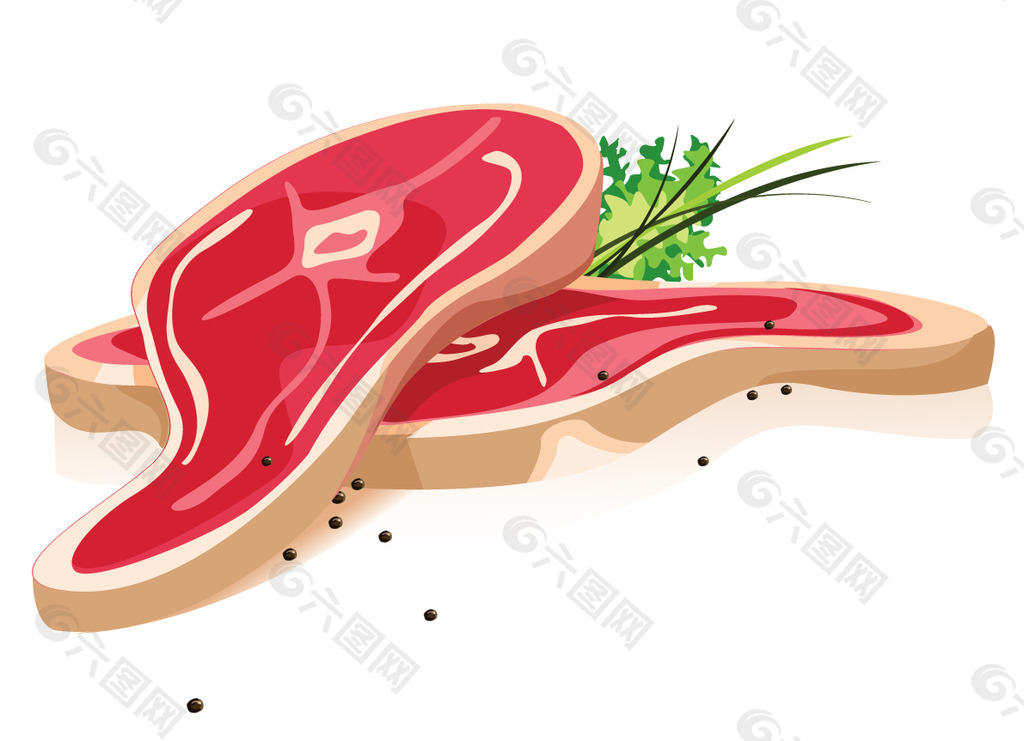 矢量新鲜的肉