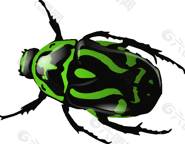 绿色甲虫剪贴画