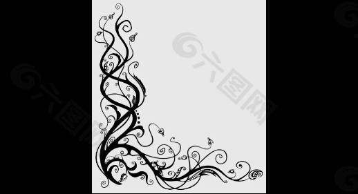 花朵边角展示视频特效