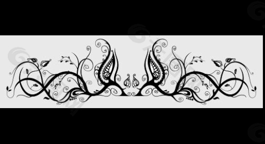 双向花朵边角视频特效