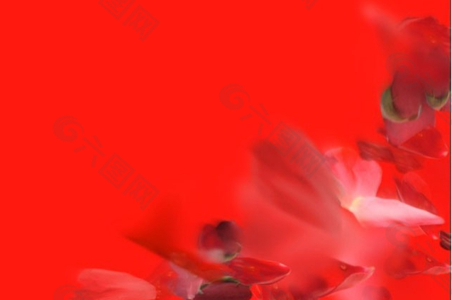 红色婚庆视频背景模板片头LED大屏幕