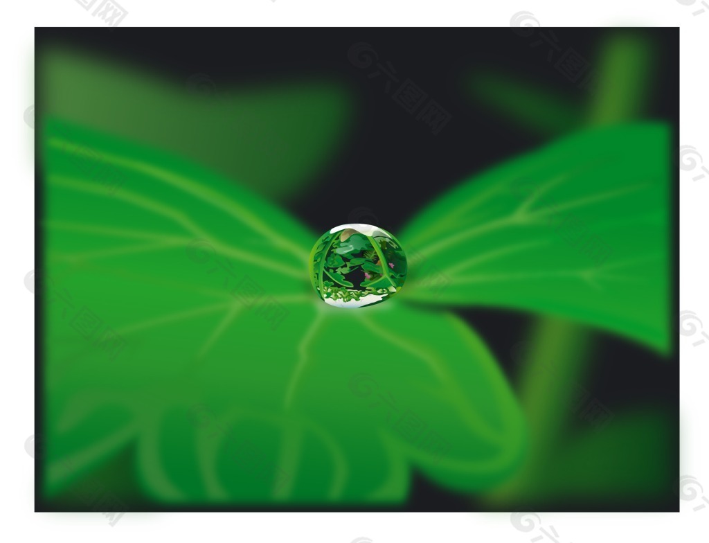 水滴水珠绿叶