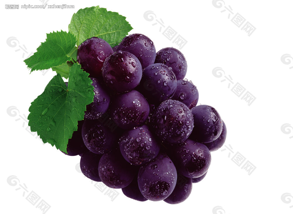 水果 紫色葡萄图片素材