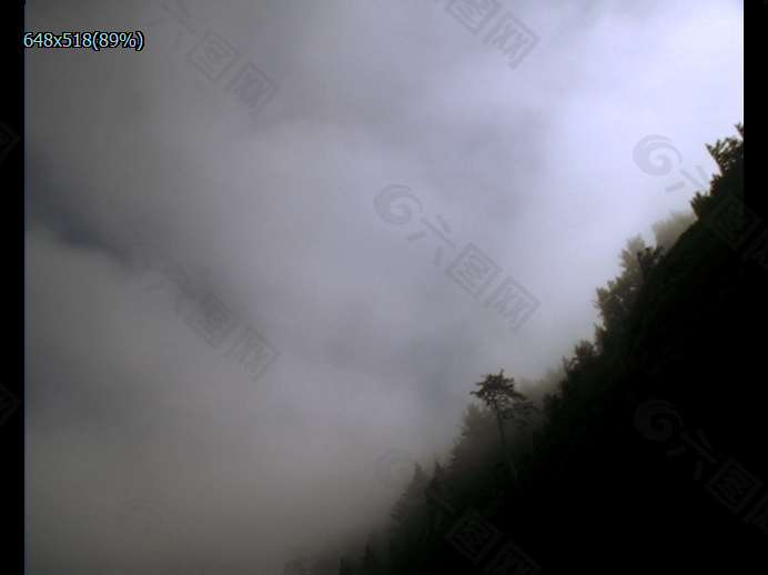实拍森林雾气视频素材下载