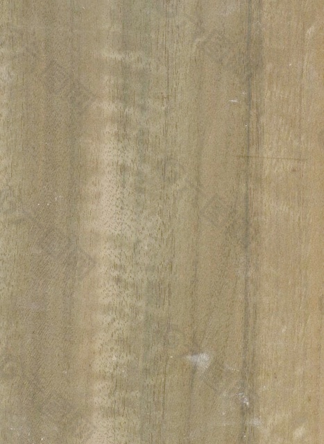 木材木纹木纹素材效果图木材木纹 116