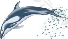 海豚3向量