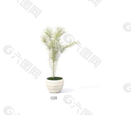 植物盆栽室内装饰素材免费下载盆栽3d模型素材 63