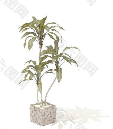 植物盆栽室内装饰素材免费下载盆栽3d模型素材 101