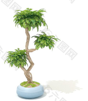 植物盆栽室内装饰素材免费下载盆栽3d模型素材 141