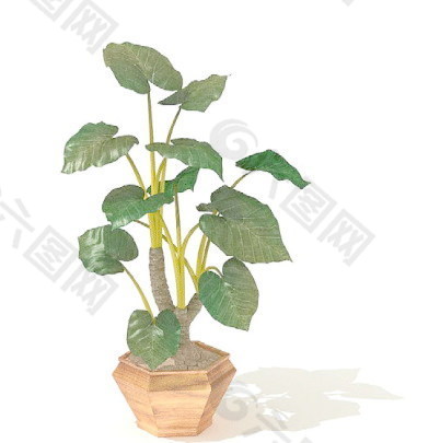 植物盆栽室内装饰素材免费下载室内盆栽模型 132