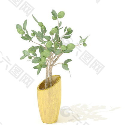 植物盆栽室内装饰素材免费下载室内盆栽模型 144