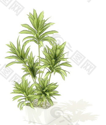 植物盆栽室内装饰素材免费下载盆栽3d模型素材 163