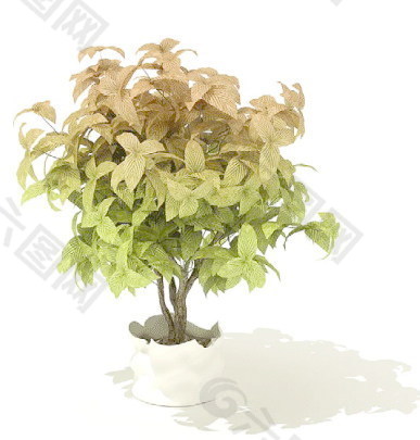 植物盆栽室内装饰素材免费下载3d模型素材 195
