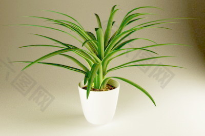 植物盆栽室内装饰素材免费下载盆栽3d模型素材 207