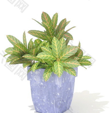 植物盆栽室内装饰素材免费下载盆栽3d模型素材 186