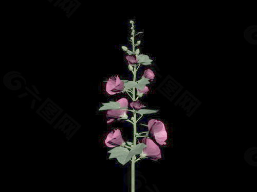 植物花草装饰素材室内装饰用品素材室内装饰素材 77