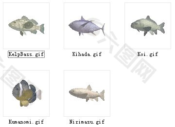 动物鱼类3d模型动植物模型免费下载鱼类3d素材 65