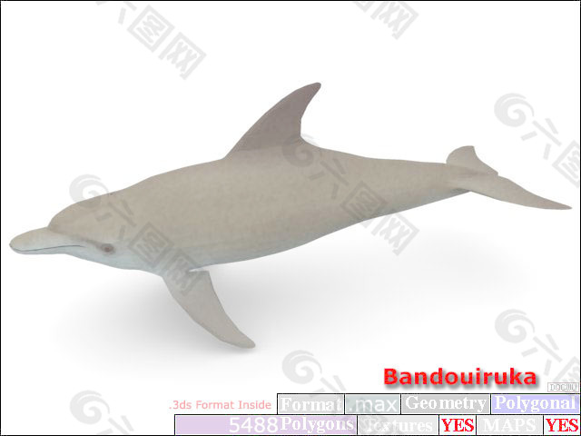 动物鱼类3d模型动植物模型免费下载动植物3d模型 36